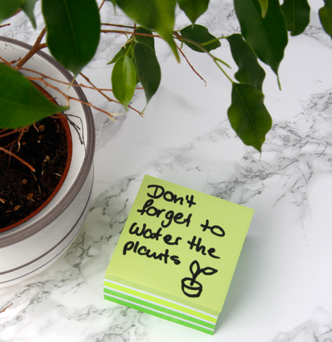 Post-it Haftnotiz Würfel Grün online bestellen