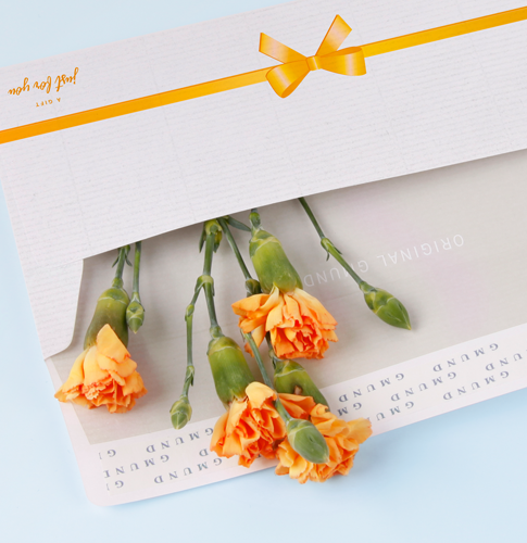 individuelle Briefumschläge bedrucken